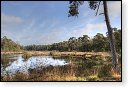 Oisterwijkse Bossen en Vennen Kampina natuurgebied natuur oisterwijk Nationaal park Landschap Het Groene Woud hei heide bossen natuurmonumenten brabant baronie boswachterij dorst